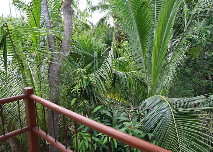Solez Zihuatanejo